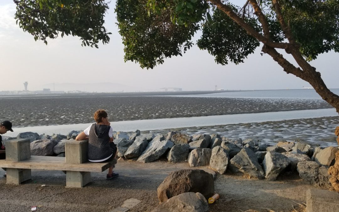 New Burlingame Shoreline Trail Open, Part of Bay Trail