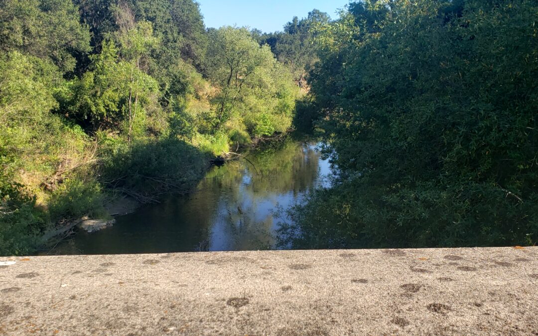 Spectacular Napa River Trails Beckon for Getting ‘Unlocked’