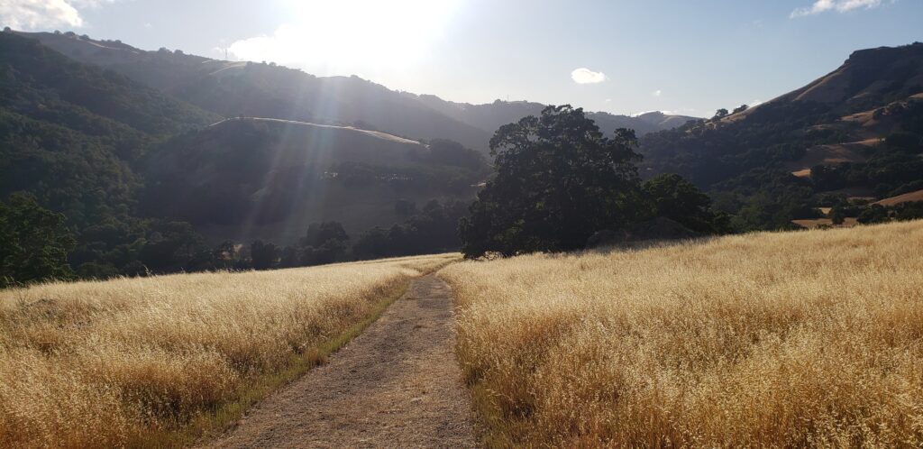 Napa River Trail, Vine Trail, Sunol, East Bay Regional Parks. backgrounds