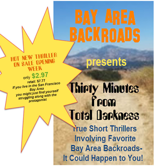 ‘Thirty Minutes from Total Darkness’ in the Bay Area Backroads – New True-to-Life Thriller